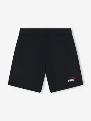 Шорты Puma Ess 2 Color No.1 Logo, синий, арт. 685826P0P-17