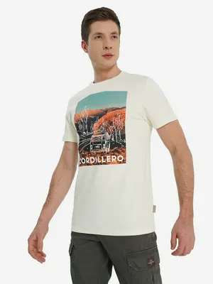 Футболка мужская оверсайз Cordillero, бежевый, арт. 141843C37-T0