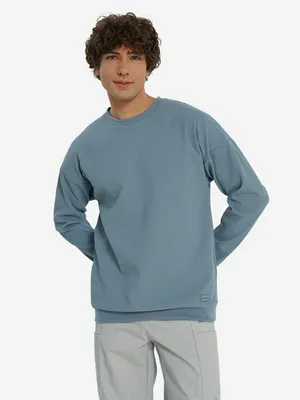 Свитшот мужской Demix, синий, арт. 140260DMX-Z1