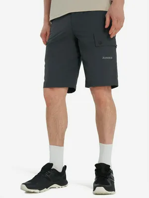 Шорты мужские Zanier, серый, арт. 140983Z08-93