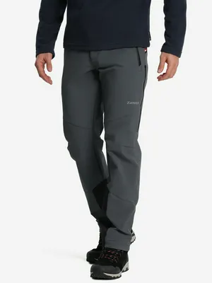 Брюки Zanier, серый, арт. 140978Z08-93