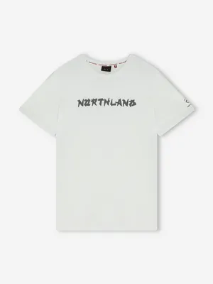 Футболка мужская Northland, белый, арт. 141208N16-00