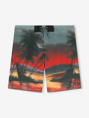 Шорты плавательные мужские Protest, черный, арт. 135283PR0-BH