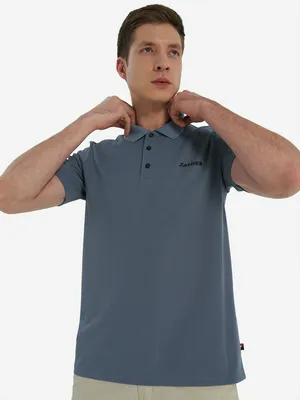 Поло мужское Zanier, синий, арт. 140973Z08-Z1