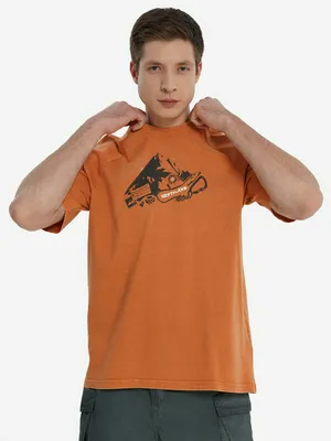 Футболка мужская Northland Коричневая, коричневый, арт. 141024N16-D3