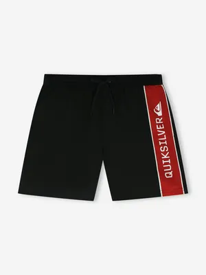 Шорты плавательные Quiksilver Everyday Clicker Volley 17, черный, арт. EQYJV04203Q02-KVJ0