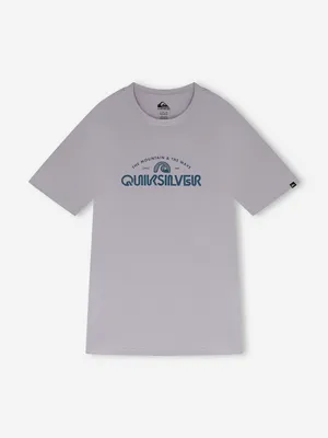 Футболка мужская Quiksilver Ev Vista, фиолетовый, арт. EQYZT08287Q02-PFJ0
