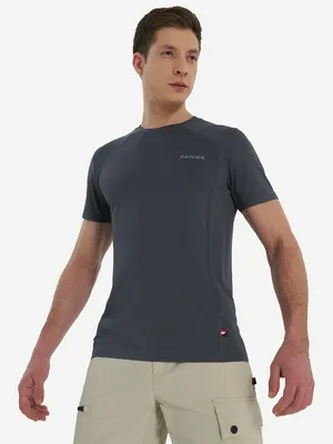 Футболка мужская Zanier, серый, арт. 140976Z08-93