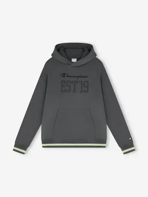 Худи мужское Champion, серый, арт. 222837C0K-ES517
