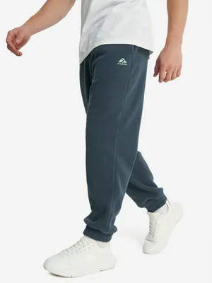 Брюки флисовые мужские Demix Discover, синий, арт. 136584DMX-S3