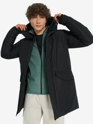 Пуховик мужской Demix, черный, арт. 136252DMX-99