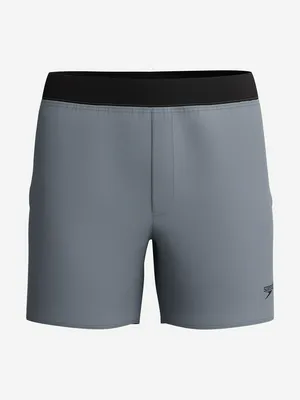 Шорты плавательные мужские Speedo Solid, серый, арт. 8-004869003S0Y-C1747