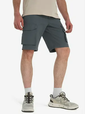 Шорты мужские Northland, серый, арт. 141028N16-93