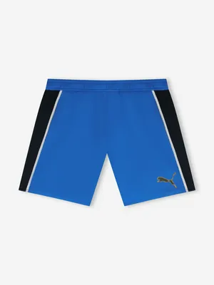 Плавательные шорты PUMA Swim, синий, арт. 947519P0P-01