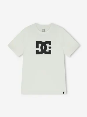 Футболка мужская DC Shoes Star, белый, арт. ADYZT05373D12-WBB0