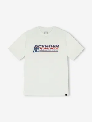 Футболка мужская DC Shoes Queltra, белый, арт. EDYZT04429D12-WBB0