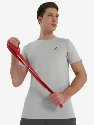 Футболка мужская Demix, серый, арт. 142753DMX-90