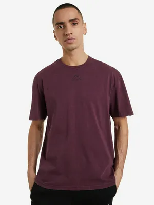 Футболка мужская Kappa, красный, арт. 119764KAP-R4