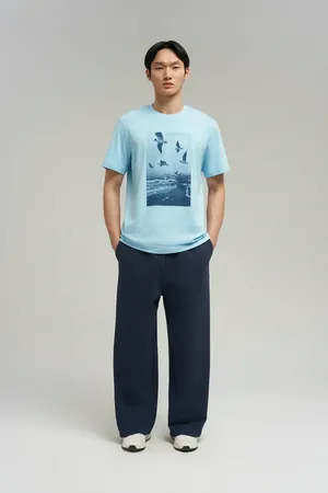 Футболка Finn Flare regular fit, 108 mirrow, арт. FBG21061